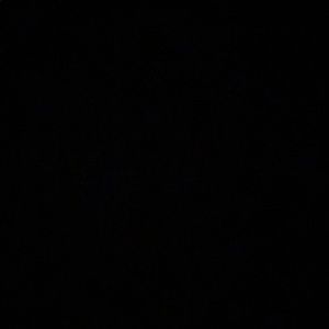 Meet your Posher, Gisselle